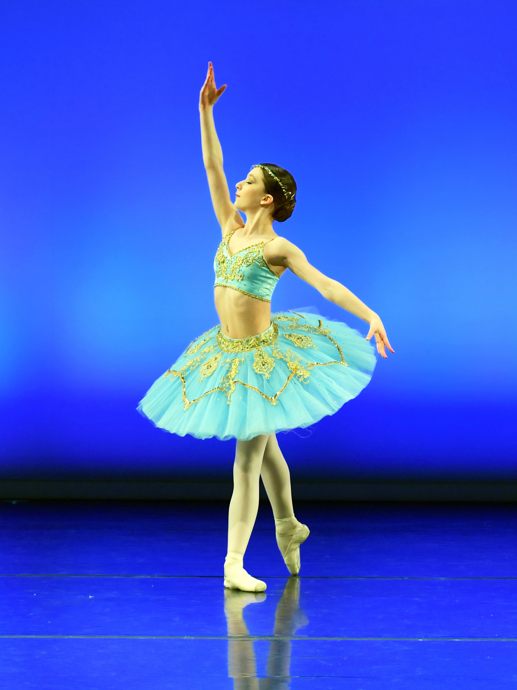 Illinois Classical Ballet See Chicago Dance